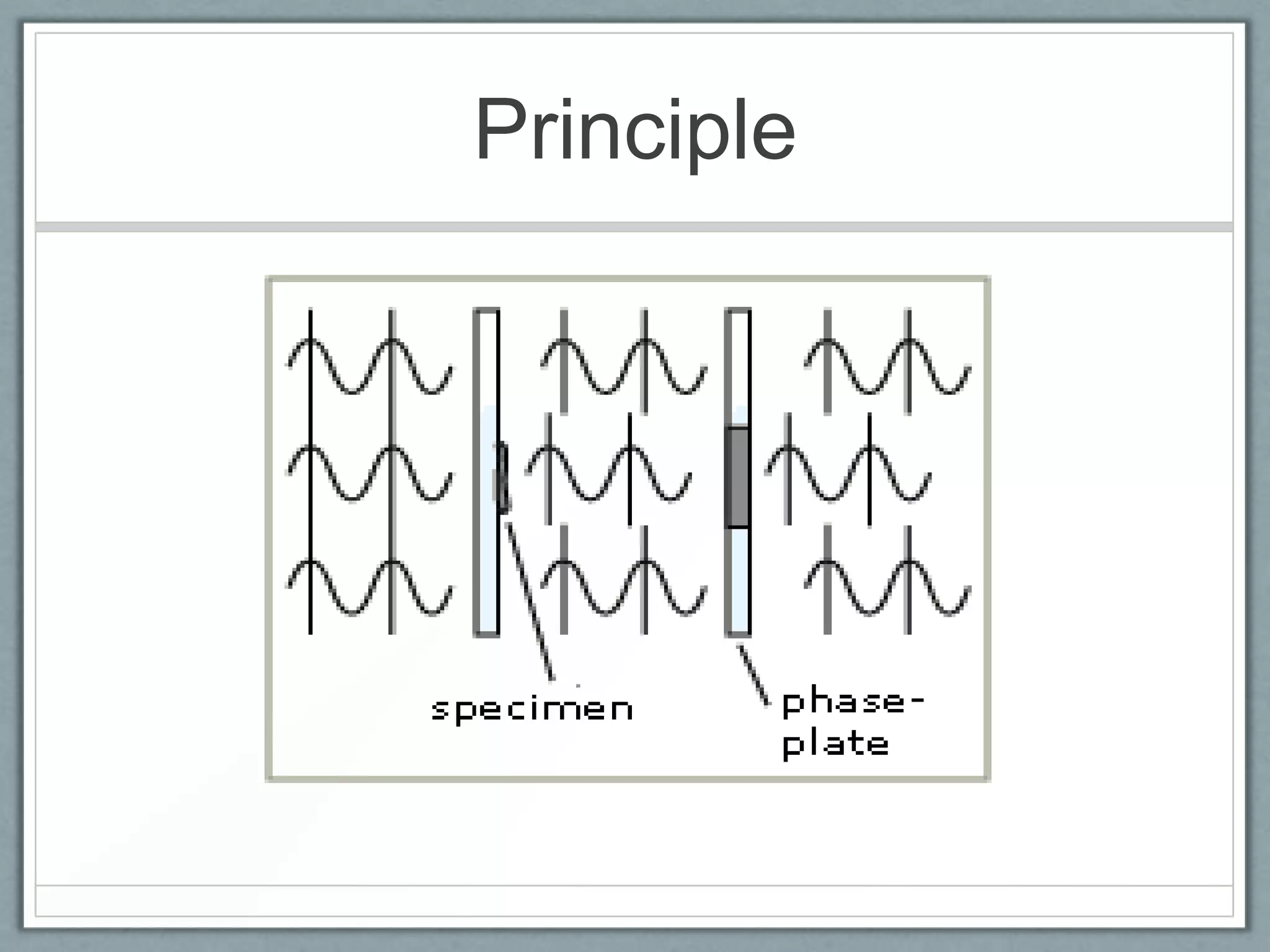 Principle

 