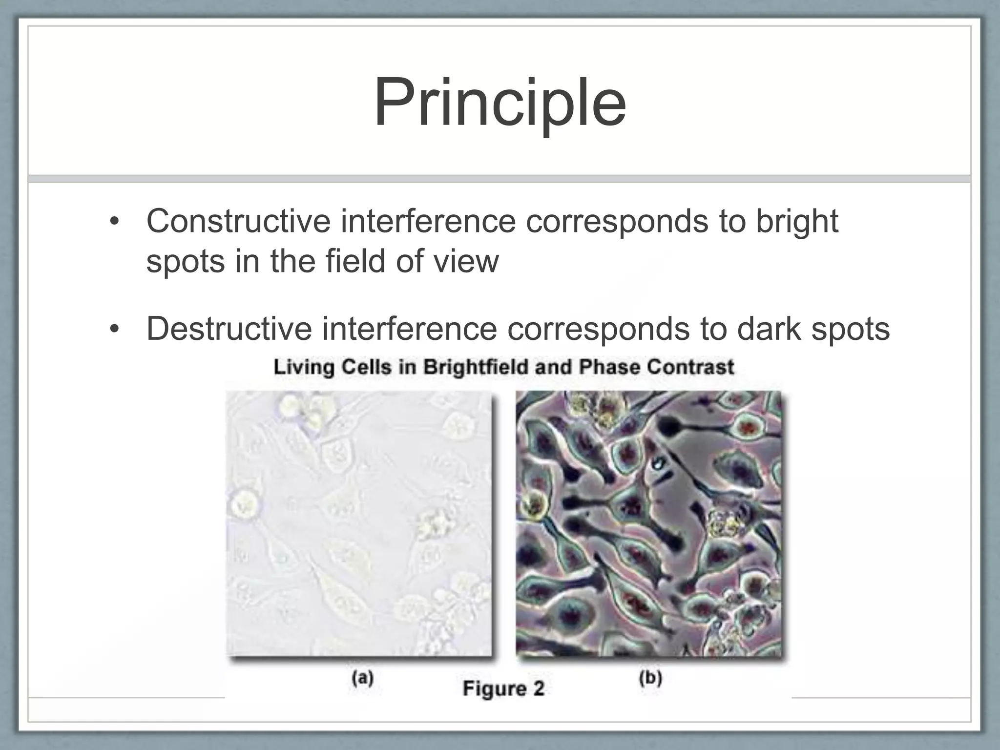 Principle
• Constructive interference corresponds to bright
spots in the field of view
• Destructive interference corresponds to dark spots

 