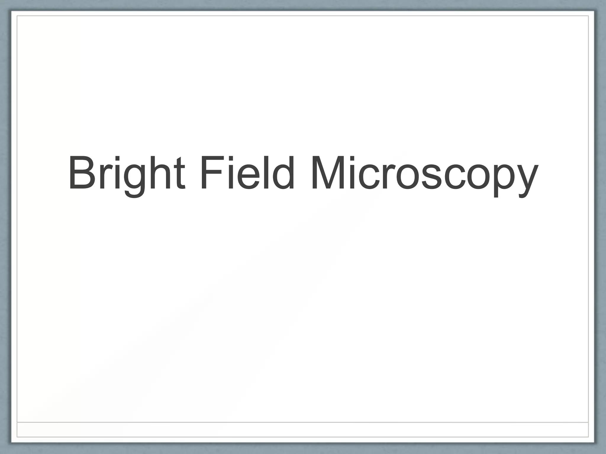 Bright Field Microscopy

 
