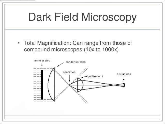 dark field microscopy