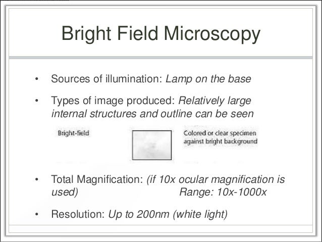 microscopy difference between light phase and dark phase