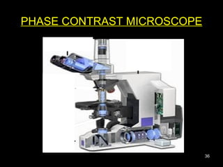 Contrast Microscope Definition Microscopy | PPT