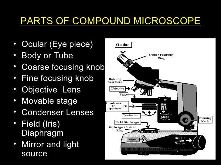 field iris diaphragm function