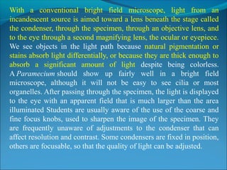 With  a  conventional  bright  field  microscope,  light  from  an 
incandescent source is aimed toward a lens beneath the stage called 
the condenser, through the specimen, through an objective lens, and 
to the eye through a second magnifying lens, the ocular or eyepiece. 
We  see  objects  in  the  light  path  because  natural  pigmentation  or 
stains absorb light differentially, or because they are thick enough to 
absorb  a  significant  amount  of  light  despite  being  colorless. 
A Paramecium should  show  up  fairly  well  in  a  bright  field 
microscope,  although  it  will  not  be  easy  to  see  cilia  or  most 
organelles. After passing through the specimen, the light is displayed 
to the eye with an apparent field that is much larger than the area 
illuminated Students are usually aware of the use of the coarse and 
fine focus knobs, used to sharpen the image of the specimen. They 
are  frequently  unaware  of  adjustments  to  the  condenser  that  can 
affect resolution and contrast. Some condensers are fixed in position, 
others are focusable, so that the quality of light can be adjusted.
 