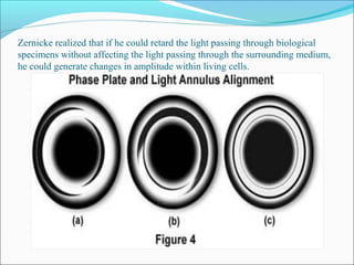 Zernicke realized that if he could retard the light passing through biological
specimens without affecting the light passing through the surrounding medium,
he could generate changes in amplitude within living cells.
 
