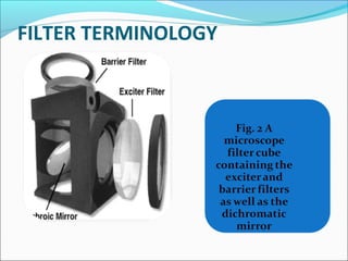 FILTER TERMINOLOGY
 