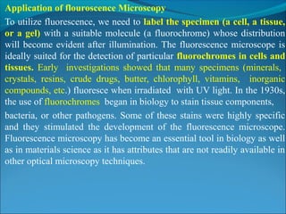 Application of flouroscence Microscopy
To utilize fluorescence, we need to label the specimen (a cell, a tissue,
or a gel) with a suitable molecule (a fluorochrome) whose distribution
will become evident after illumination. The fluorescence microscope is
ideally suited for the detection of particular fluorochromes in cells and
tissues. Early investigations showed that many specimens (minerals,
crystals, resins, crude drugs, butter, chlorophyll, vitamins, inorganic
compounds, etc.) fluoresce when irradiated with UV light. In the 1930s,
the use of fluorochromes began in biology to stain tissue components,
bacteria, or other pathogens. Some of these stains were highly specific
and they stimulated the development of the fluorescence microscope.
Fluorescence microscopy has become an essential tool in biology as well
as in materials science as it has attributes that are not readily available in
other optical microscopy techniques.
 