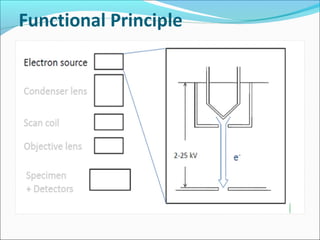 Functional Principle
 