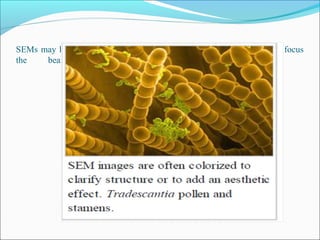 SEMs may have condenser and objective lenses, but their function is to focus
the beam to a spot, and not to image the specimen.
 