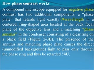 Disadvantages of fluorescence microscope