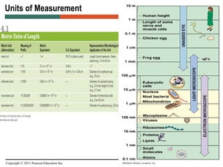 Copyright © 2011 Pearson Education Inc.
Units of Measurement
Table 4.1
 