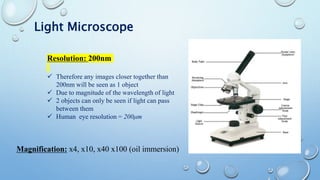 Microscopy | PPTX