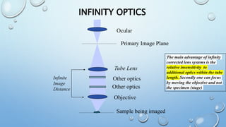 Microscopy | PPTX