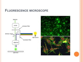 FLUORESCENCE MICROSCOPE
 