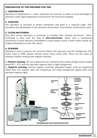 MICROSCOPY 12
PREPARATION OF THE SPECIMEN FOR TEM
1. DEHYDRATION
Specimen is dehydrated i.e., water molecules are removed, in order to avoid shrinkage of
specimen under high temperature and preserve the structural integrity.
2. FIXATION
The specimen is mounted in proper orientation and fixed in a required angle. This
minimizes any disturbance in the specimen observation. Cryo-fixation could also be used.
3. ULTRA-SECTIONING
Very thin section Specimen is necessary to visualize their internal structures. Ultra-
sectioning is done with the help of ultra-microtome, which uses a mechanical
instrument to move specimen (embedded in renin) slowly across a knife surface (made up
of glass/diamond) to create thin slices.
4. STAINING
Staining is used to improve the contrast between the specimen and the background. The
stains used in TEM contain electron dense heavy metal salts. There are two types of
staining; Positive staining and negative staining.
In Positive staining, the cell components are combined with metals of high atomic weight
(lead-Pb207, U238) and the specimen appears dark in light background.
In Negative staining, electron opaque materials (phospho-tungsic acid) are deposited
which does not combine with cell components but make background appear dark and
specimen appears light.
 