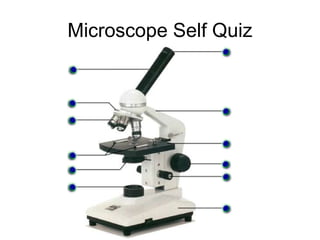 Microscope Self Image Microscopy | PPT
