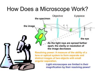 Microscopy | PPT | Photography | Arts and Crafts