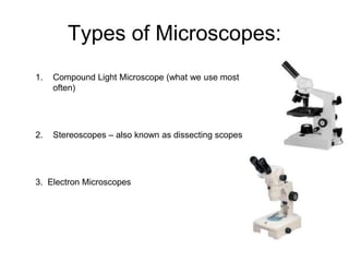 Microscopy | PPT