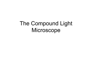 The Compound Light
Microscope
 