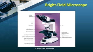 Microscopy | PPTX