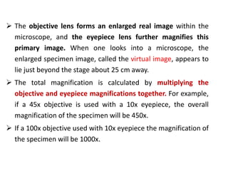 Multiplying Lens Microscopy | PPTX