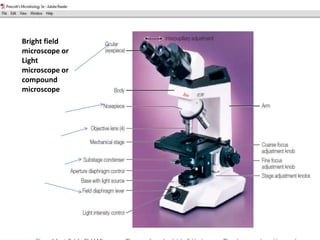 Microscope parts unlabeled