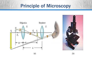 Microscope Design Principles Microscopy . | PPTX
