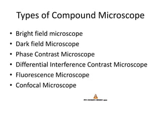 Microscopy | PPTX