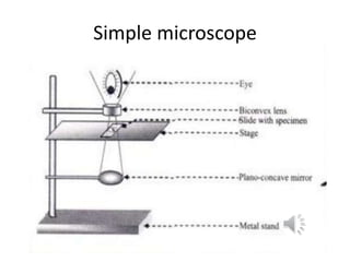 Microscopy | PPTX