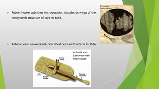  Robert Hooke publishes Micrographia, includes drawings of the
honeycomb structure of cork in 1665.
 Antonie van Leeuwenhoek described cells and bacteria in 1676.
 