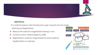 Microscopy | PPTX