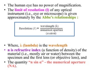 Resolution Of Microscope Formula Microscopy.pptx