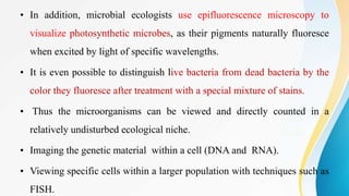 • In addition, microbial ecologists use epifluorescence microscopy to
visualize photosynthetic microbes, as their pigments naturally fluoresce
when excited by light of specific wavelengths.
• It is even possible to distinguish live bacteria from dead bacteria by the
color they fluoresce after treatment with a special mixture of stains.
• Thus the microorganisms can be viewed and directly counted in a
relatively undisturbed ecological niche.
• Imaging the genetic material within a cell (DNA and RNA).
• Viewing specific cells within a larger population with techniques such as
FISH.
 
