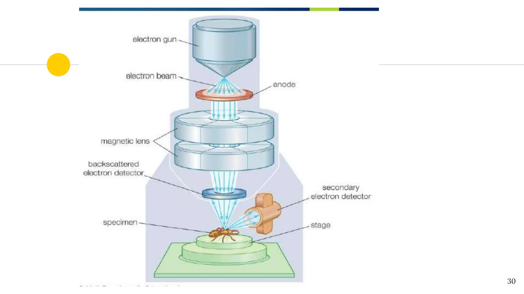 Microscope Design Principles Principles of microscopy: A microscope is an instrument that produces ...