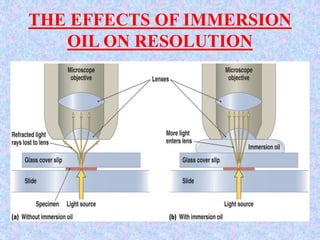 THE EFFECTS OF IMMERSION
OIL ON RESOLUTION
 