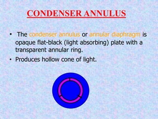 CONDENSER ANNULUS
• The condenser annulus or annular diaphragm is
opaque flat-black (light absorbing) plate with a
transparent annular ring.
• Produces hollow cone of light.
 