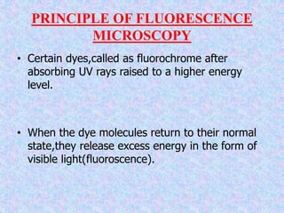 PRINCIPLE OF FLUORESCENCE
MICROSCOPY
• Certain dyes,called as fluorochrome after
absorbing UV rays raised to a higher energy
level.
• When the dye molecules return to their normal
state,they release excess energy in the form of
visible light(fluoroscence).
 