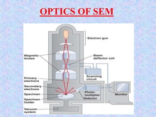 OPTICS OF SEM
 