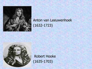 Anton van Leeuwenhoek
(1632-1723)
Robert Hooke
(1635-1703)
 