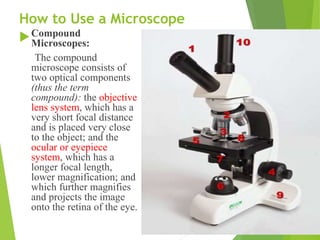 MICROSCOPY.pptx notes on microscopy of the | PPTX