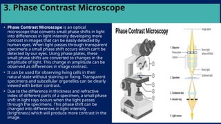 3. Phase Contrast Microscope
• Phase Contrast Microscope is an optical
microscope that converts small phase shifts in light
into differences in light intensity developing more
contrast in images that can be easily detected by
human eyes. When light passes through transparent
specimens a small phase shift occurs which can’t be
detected by our eyes. Using phase plates, these
small phase shifts are converted to changes in the
amplitude of light. This change in amplitude can be
observed as differences in image contrast.
• It can be used for observing living cells in their
natural state without staining or fixing. Transparent
specimens and subcellular organelles can be clearly
viewed with better contrast.
• Due to the difference in thickness and refractive
index of different parts of a specimen, a small phase
shift in light rays occurs when the light passes
through the specimens. This phase shift can be
changed into differences in light intensity
(brightness) which will produce more contrast in the
image.
 
