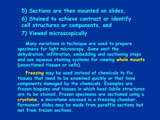 Microscopy.pdf used for an detailed research on microscope | PDF