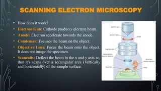 SCANNING ELECTRON MICROSCOPY
• How does it work?
• Electron Gun: Cathode produces electron beam.
• Anode: Electron accelerate towards the anode.
• Condenser: Focuses the beam on the object.
• Objective Lens: Focus the beam onto the object.
It does not image the specimen.
• Scancoils: Deflect the beam in the x and y axis so,
that it’s scans over a rectangular area (Vertically
and horizontally) of the sample surface.
 