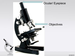 microscopy label, how to use it and techniques | PPTX