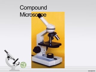 microscopy label, how to use it and techniques | PPTX