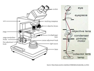Microscope Focusing Principles.pdf Comprehensive Overview of Microscopy Techniques in Biochemistry and ...