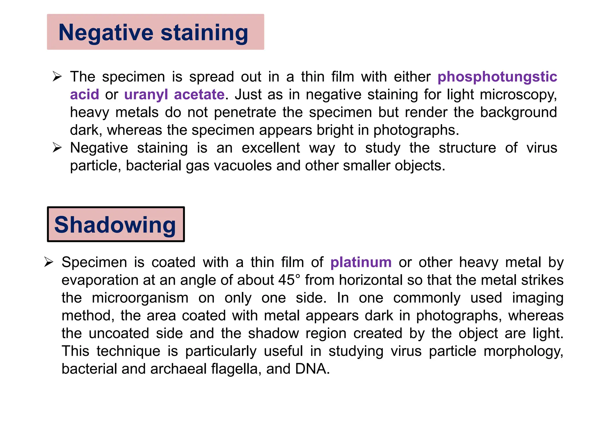  The specimen is spread out in a thin film with either phosphotungstic
acid or uranyl acetate. Just as in negative staining for light microscopy,
heavy metals do not penetrate the specimen but render the background
dark, whereas the specimen appears bright in photographs.
 Negative staining is an excellent way to study the structure of virus
particle, bacterial gas vacuoles and other smaller objects.
Negative staining
 Specimen is coated with a thin film of platinum or other heavy metal by
evaporation at an angle of about 45° from horizontal so that the metal strikes
the microorganism on only one side. In one commonly used imaging
method, the area coated with metal appears dark in photographs, whereas
the uncoated side and the shadow region created by the object are light.
This technique is particularly useful in studying virus particle morphology,
bacterial and archaeal flagella, and DNA.
Shadowing
 
