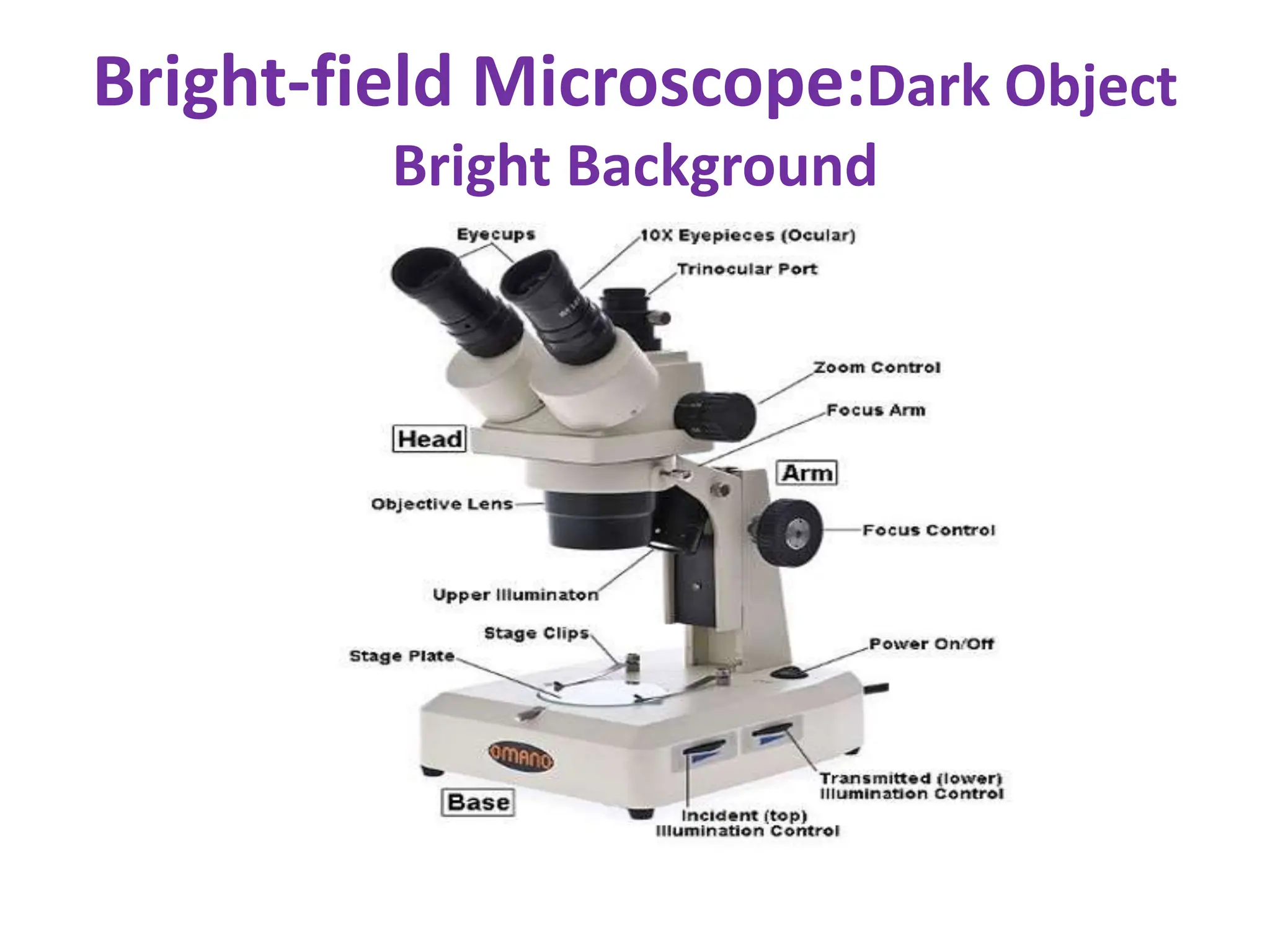 Bright-field Microscope:Dark Object
Bright Background
 