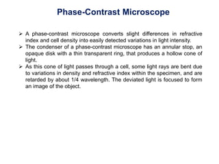 Phase-Contrast Microscope
 A phase-contrast microscope converts slight differences in refractive
index and cell density into easily detected variations in light intensity.
 The condenser of a phase-contrast microscope has an annular stop, an
opaque disk with a thin transparent ring, that produces a hollow cone of
light.
 As this cone of light passes through a cell, some light rays are bent due
to variations in density and refractive index within the specimen, and are
retarded by about 1/4 wavelength. The deviated light is focused to form
an image of the object.
 
