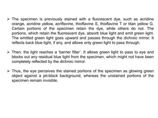  The specimen is previously stained with a fluorescent dye, such as acridine
orange, acridine yellow, acriflavine, thioflavine S, thioflavine T or titan yellow G.
Certain portions of the specimen retain the dye, while others do not. The
portions, which retain the fluorescent dye, absorb blue light and emit green light.
The emitted green light goes upward and passes through the dichroic mirror. It
reflects back blue light, if any, and allows only green light to pass through.
 Then, the light reaches a ‘barrier filter’. It allows green light to pass to eye and
blocks out any residual blue light from the specimen, which might not have been
completely reflected by the dichroic mirror.
 Thus, the eye perceives the stained portions of the specimen as glowing green
object against a jet-black background, whereas the unstained portions of the
specimen remain invisible.
 